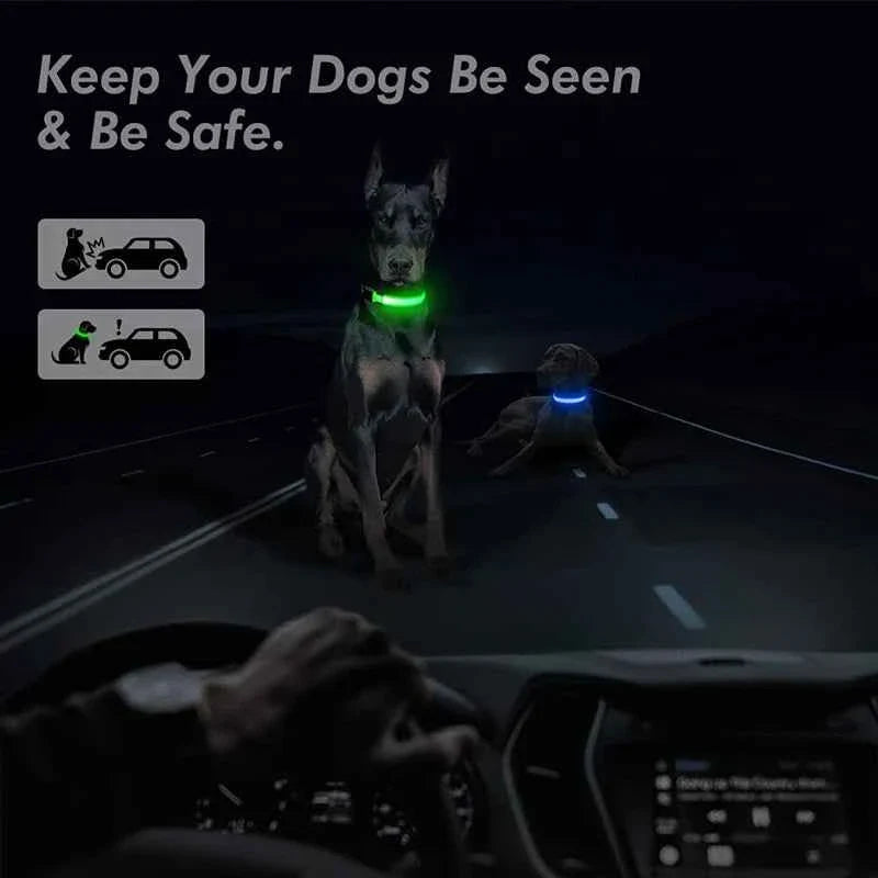 USB Rechargeable LED Dog Collar for Night Safety