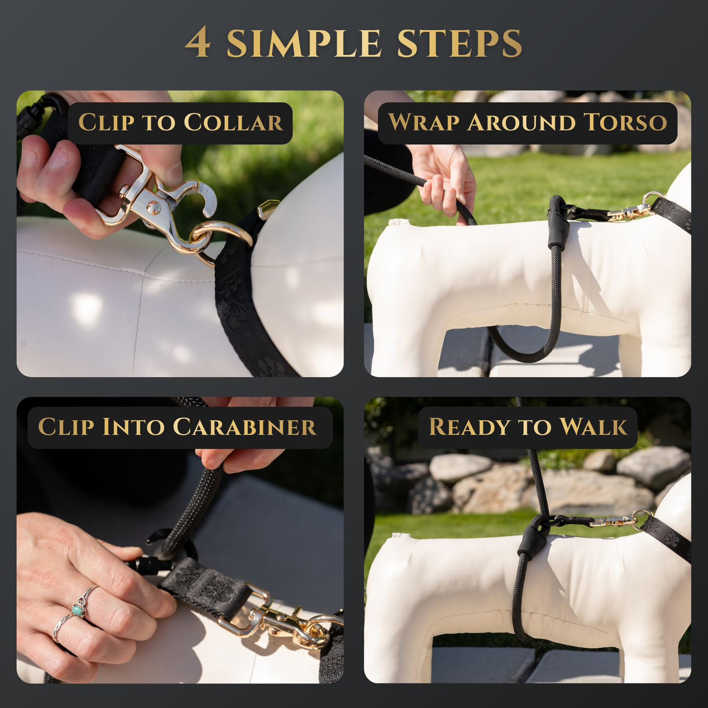 Hands Free No-Pull Dog Leash for Walking Control