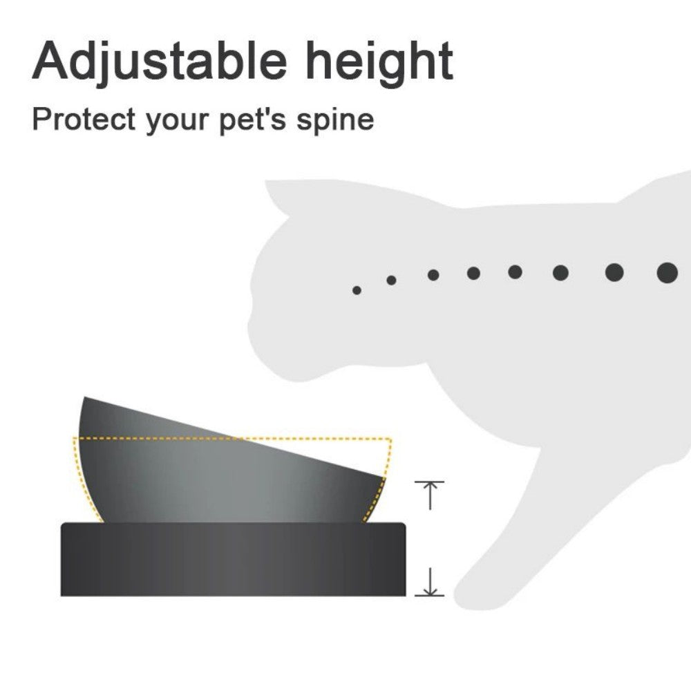 Stainless Steel Pet Feeding Bowl with Elevated Stand