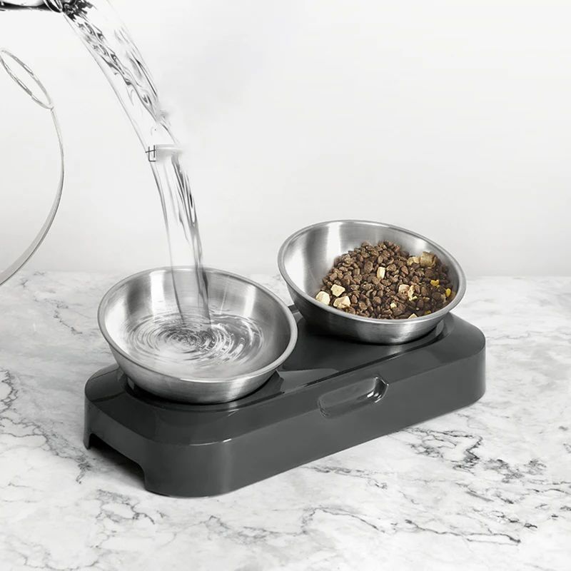 Stainless Steel Pet Feeding Bowl with Elevated Stand