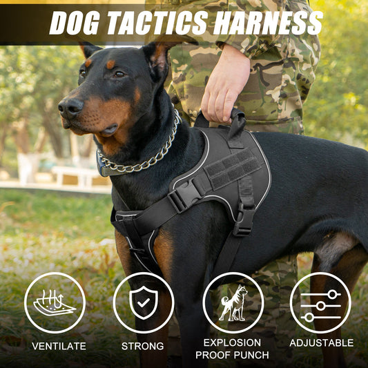 Breathable Tactical Dog Harness with Heavy Duty Leash Rope