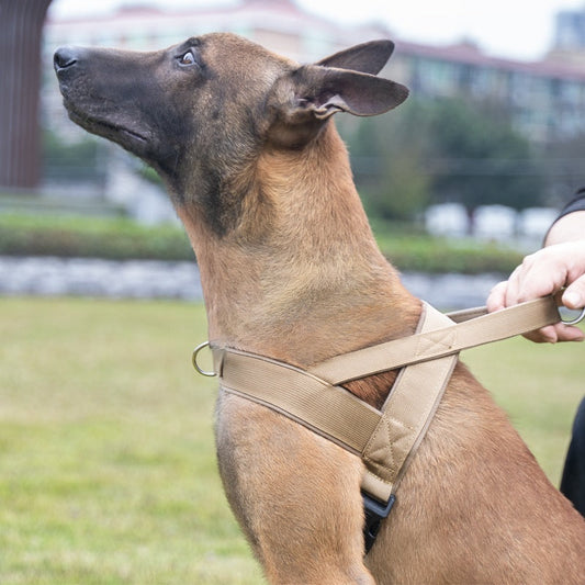 Vest Style Dog Collar and Adjustable Harness Set