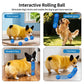 Interactive Smart Bouncing Dog Ball With Colorful Lights