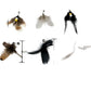 Cat Toy Feather Bell Replacement Head Attachment