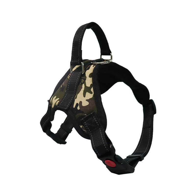 Adjustable Dog Collar for Medium and Large Pets