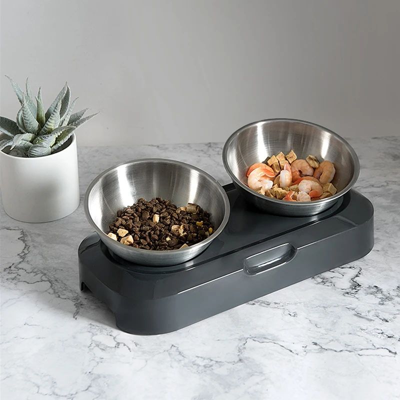 Stainless Steel Pet Feeding Bowl with Elevated Stand