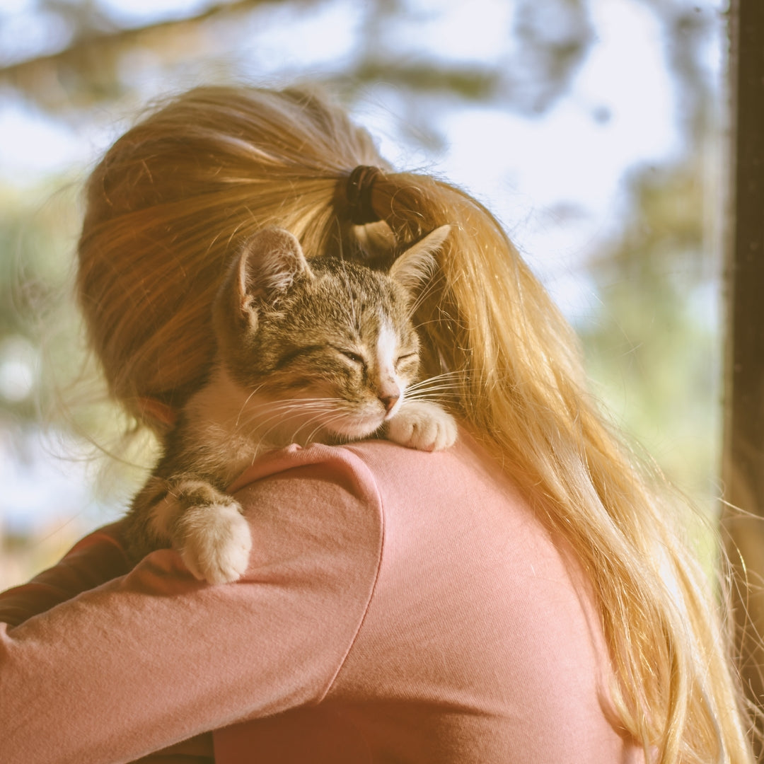 Cat resting on a person's shoulder with a blurred natural background