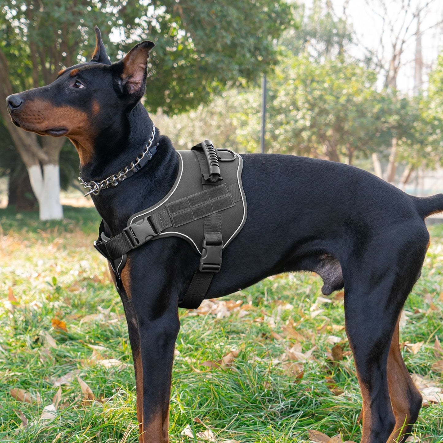Breathable Tactical Dog Harness with Heavy Duty Leash Rope