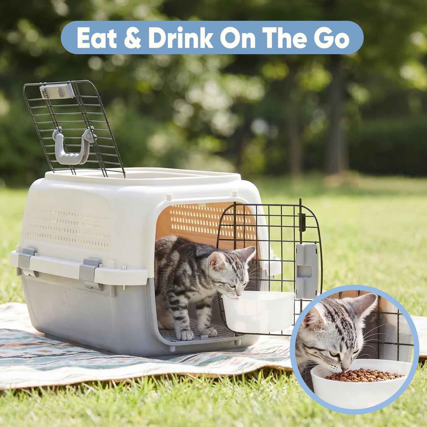Airline Approved Pet Carrier Crate with Secure Wire Doors