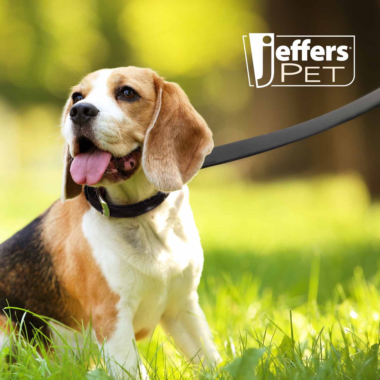Black Padded Leather Pet Leash for Dogs
