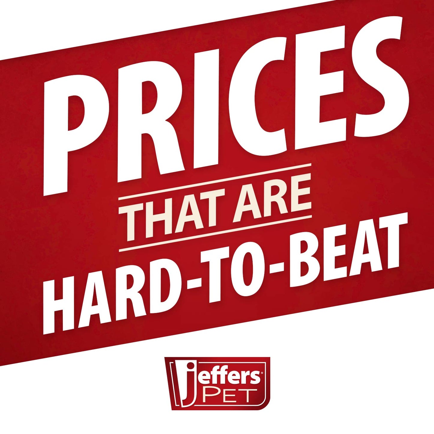 Black Padded Leather Pet Leash for Dogs