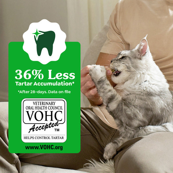 GREENIES Feline Dental Cat Treats, Catnip Flavor Tub