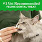 GREENIES Feline Dental Cat Treats, Catnip Flavor Tub