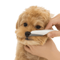 Stainless Steel Pet Flea And Shedding Comb Tool