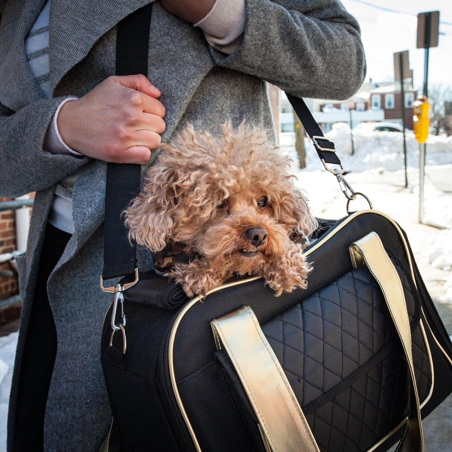 Airline Approved Fashion Pet Carrier with Storage Pouch