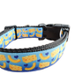 Mac And Cheese Black Nylon Dog Collar MD, LG, XL, Leash